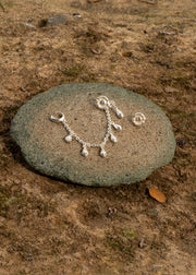 Granos de Plata